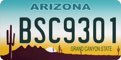 AZ license plate BSC9301