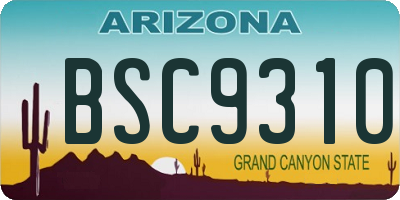 AZ license plate BSC9310