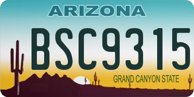 AZ license plate BSC9315