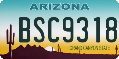 AZ license plate BSC9318