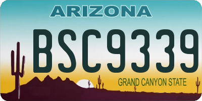 AZ license plate BSC9339