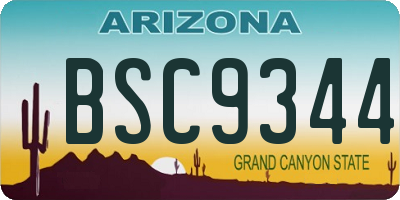 AZ license plate BSC9344