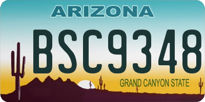AZ license plate BSC9348