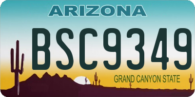 AZ license plate BSC9349