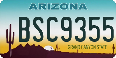 AZ license plate BSC9355
