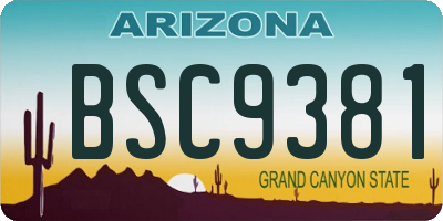 AZ license plate BSC9381