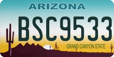 AZ license plate BSC9533