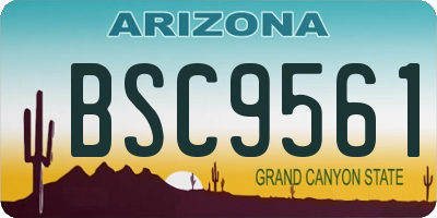AZ license plate BSC9561