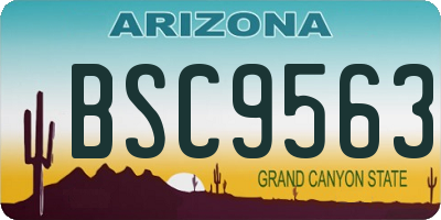 AZ license plate BSC9563