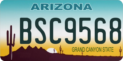 AZ license plate BSC9568