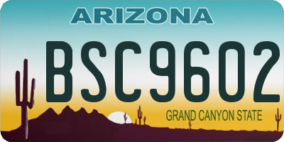 AZ license plate BSC9602