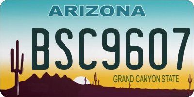AZ license plate BSC9607