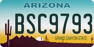 AZ license plate BSC9793