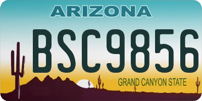 AZ license plate BSC9856