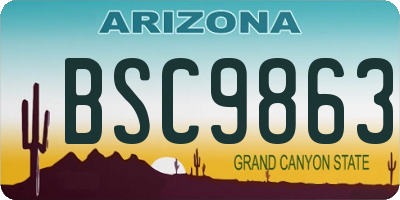 AZ license plate BSC9863