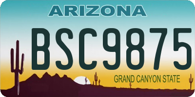 AZ license plate BSC9875