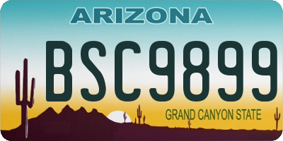 AZ license plate BSC9899
