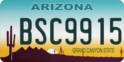 AZ license plate BSC9915