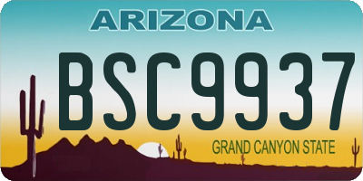 AZ license plate BSC9937