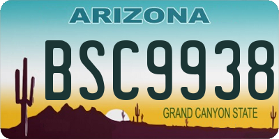 AZ license plate BSC9938