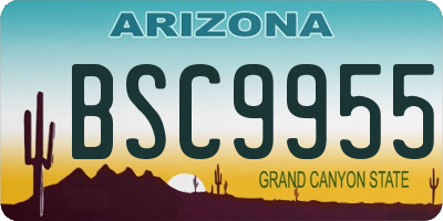 AZ license plate BSC9955