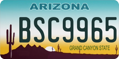 AZ license plate BSC9965