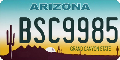 AZ license plate BSC9985