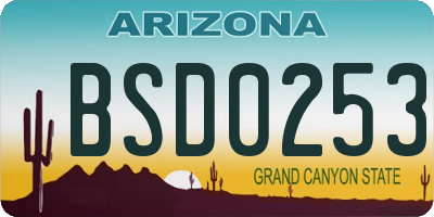 AZ license plate BSD0253