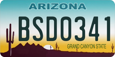 AZ license plate BSD0341