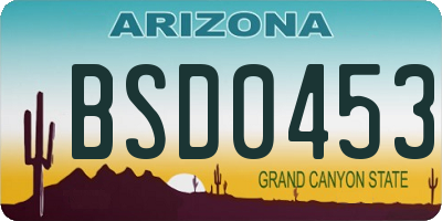 AZ license plate BSD0453
