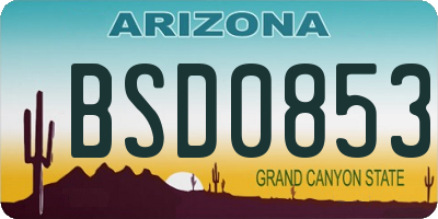 AZ license plate BSD0853