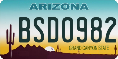 AZ license plate BSD0982