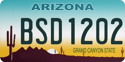 AZ license plate BSD1202