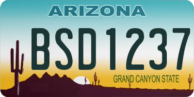 AZ license plate BSD1237