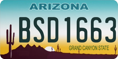 AZ license plate BSD1663