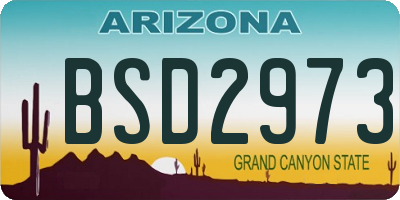 AZ license plate BSD2973