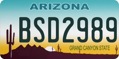 AZ license plate BSD2989