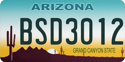 AZ license plate BSD3012