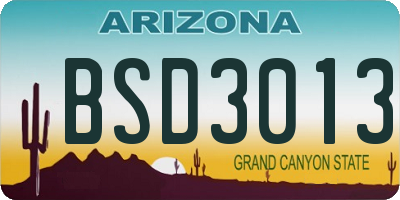 AZ license plate BSD3013