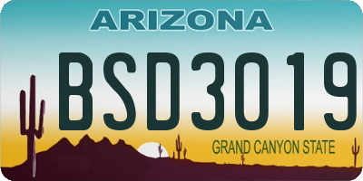 AZ license plate BSD3019