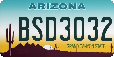 AZ license plate BSD3032