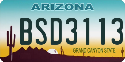 AZ license plate BSD3113
