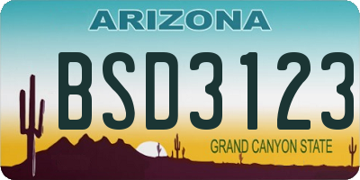 AZ license plate BSD3123