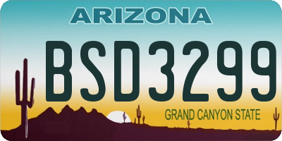AZ license plate BSD3299