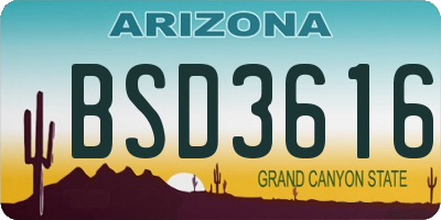 AZ license plate BSD3616