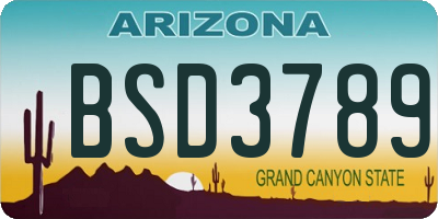 AZ license plate BSD3789
