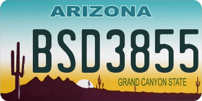 AZ license plate BSD3855