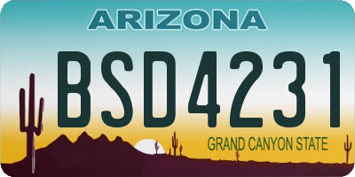AZ license plate BSD4231