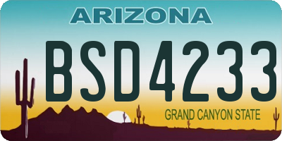 AZ license plate BSD4233