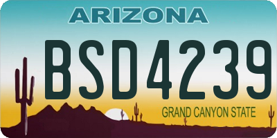 AZ license plate BSD4239